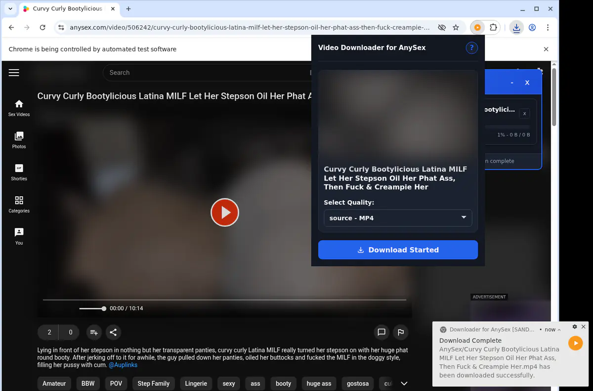 Anysex Video Downloader browser extension screenshot 3